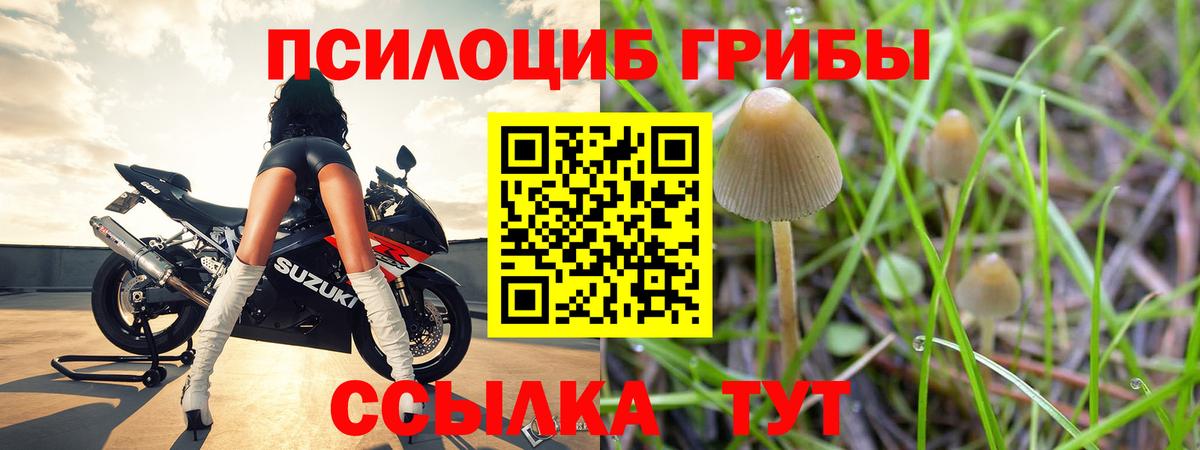 Ессентуки  Псилоцибиновые грибы MAGIC MUSHROOMS  Вход с VPN 